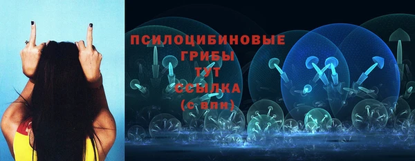 прущая мука Ладушкин